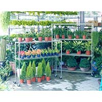 花草植物種植儲物架，立體種植貨架，園藝盆栽置物架（2）