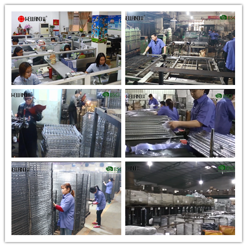 2020年穩住，常勝人能贏-川井