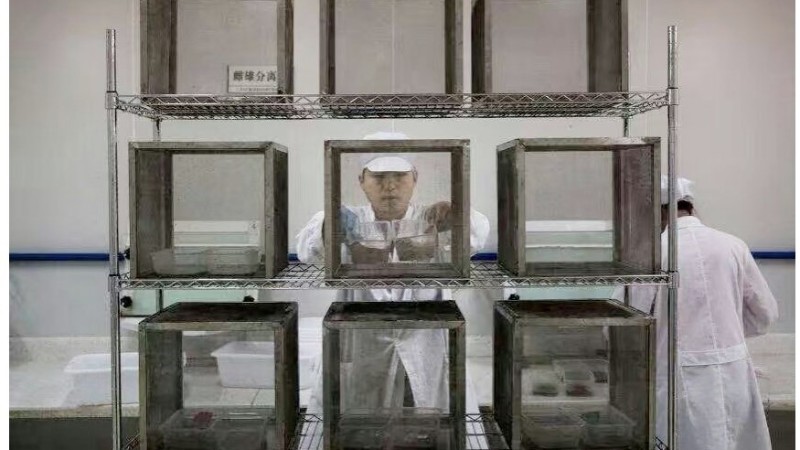 醫(yī)院冷庫實驗室儲物架 醫(yī)院藥物冷庫貨架 美國NSF認(rèn)證廠家