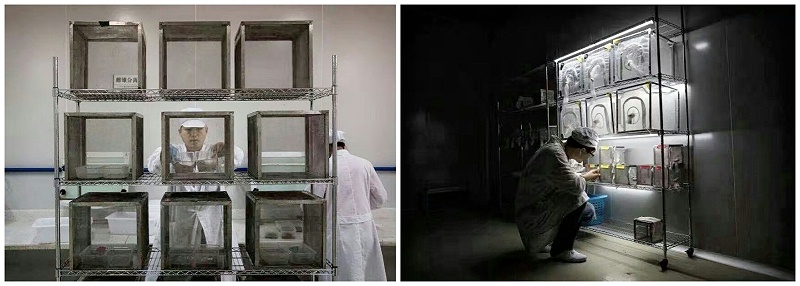 醫院冷庫實驗室儲物架 醫院藥物冷庫貨架 美國NSF認證廠家-川井