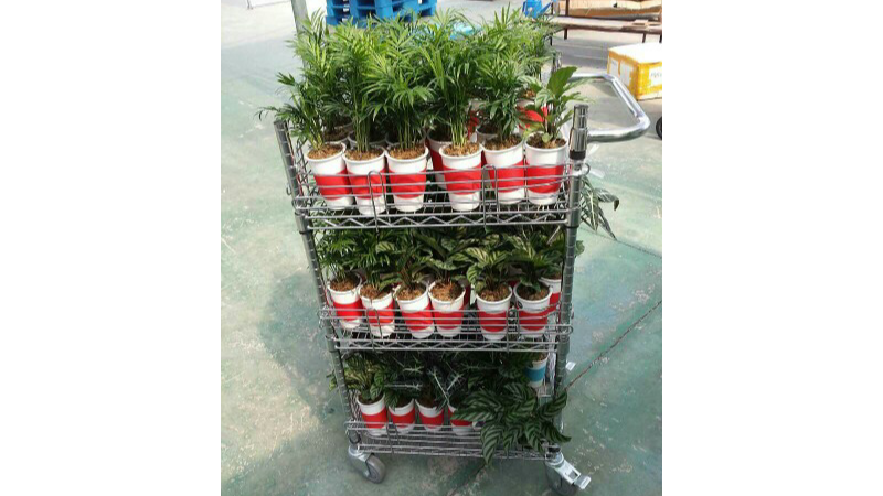 夜市地?cái)偼栖?chē)流動(dòng)商販可移動(dòng)可拆卸手推車(chē)不銹鋼色可調(diào)節(jié)周轉(zhuǎn)車(chē)