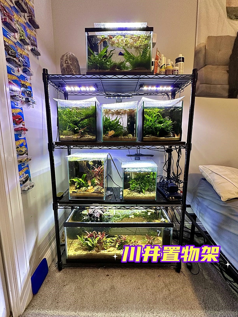 一木一草一世界，你的微觀小森林-WELLAND川井-中山常勝