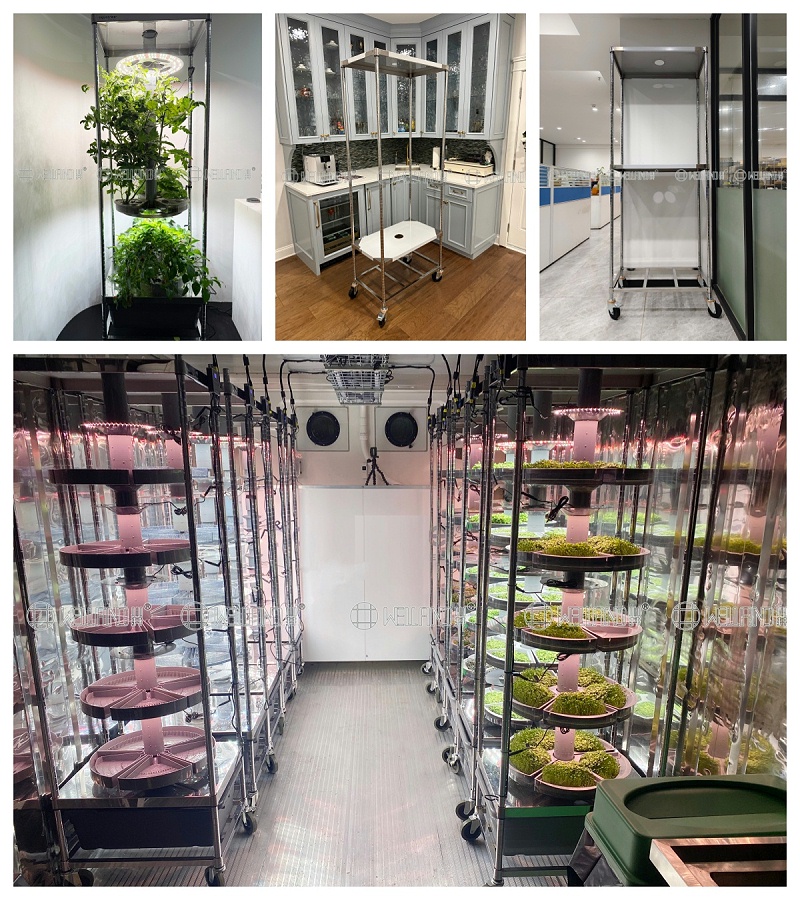 定制不銹鋼溫室種植架，為現代化農業賦能