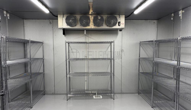 出口以色列四層重網冷庫貨架成功案例分享