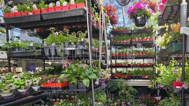 花苗溫室培育植物架成功案例分享