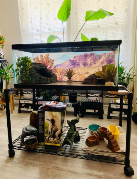 美國兩層噴粉可移動魚缸造景架 生態系統景觀置物架成功案例分享-川井