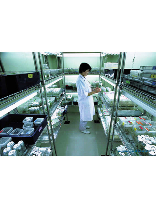 醫院醫療實驗室鍍鉻金屬線網置物架