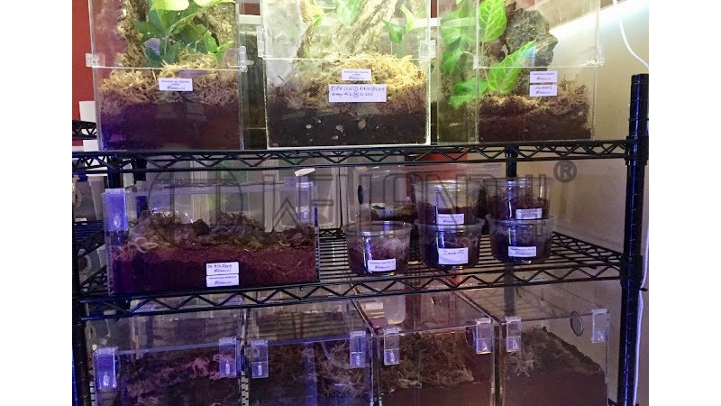 植物養殖架昆蟲養殖金屬線網架子